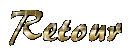 RETOUR SUR LE SITE
