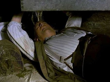 Le Maître Chanteur d&lsquo;Appledore 